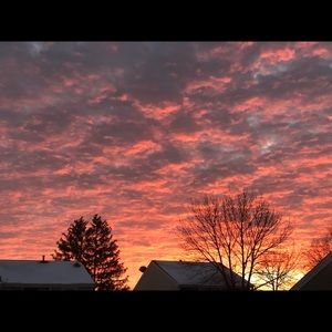 Meet your Posher, Dulce